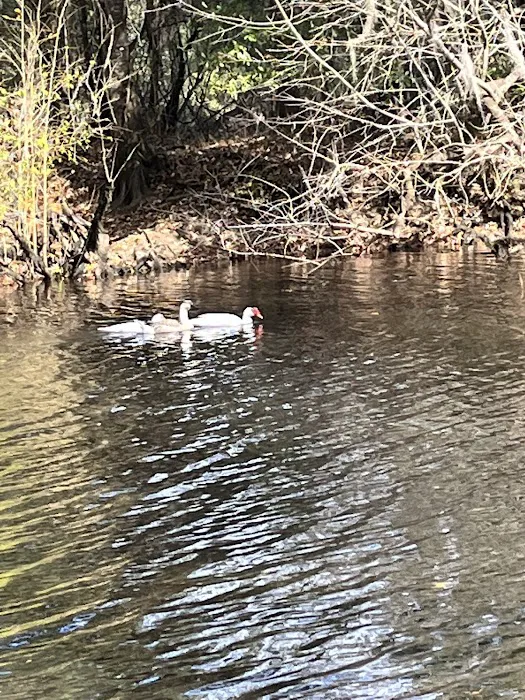 Coleman Lake Campground Picture 8