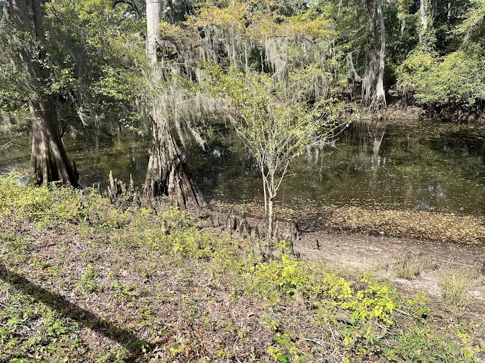 Coleman Lake Campground Picture 10