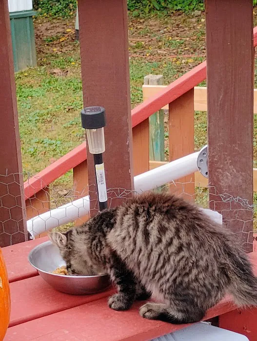 Eden Gate Mobile Home Park Picture 9