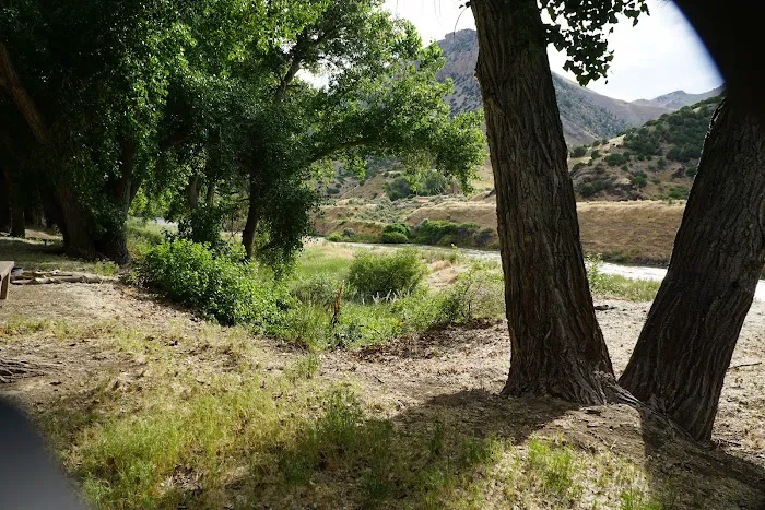 Upper Wind River Campground Picture 6