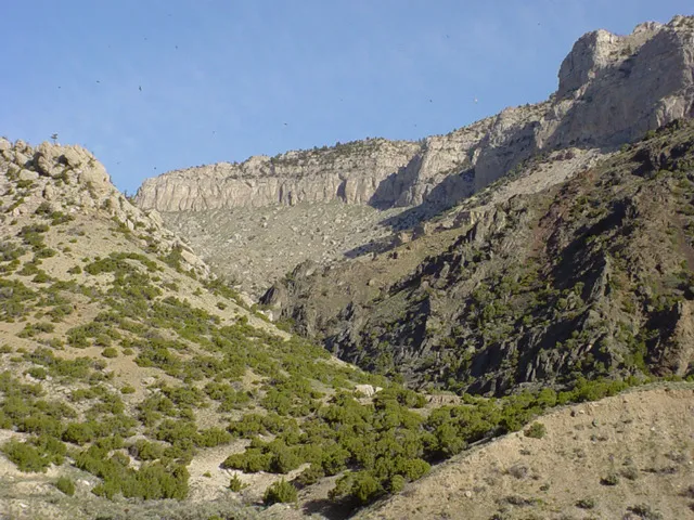 Lower Wind River Campground Picture 10