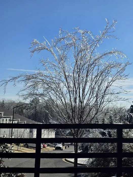 Eastgate Mobile Home Community Picture 1