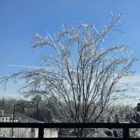 Eastgate Mobile Home Community ico