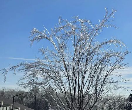 Eastgate Mobile Home Community