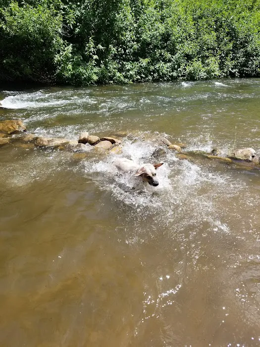 Magpie Campground Picture 4