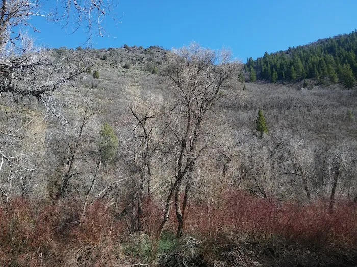 Magpie Campground Picture 5