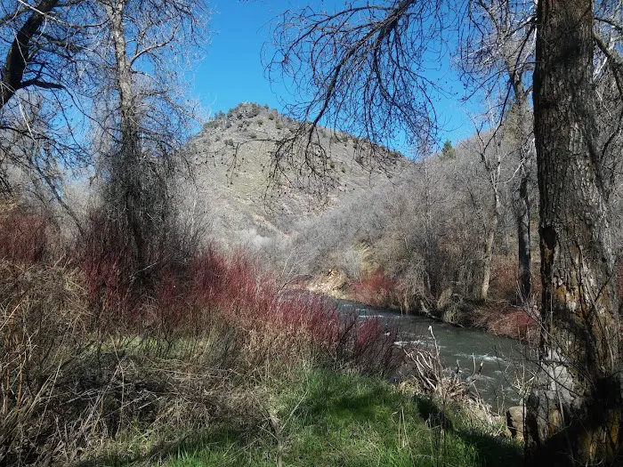 Magpie Campground Picture 9