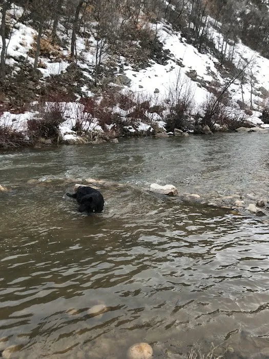 Magpie Campground Picture 8