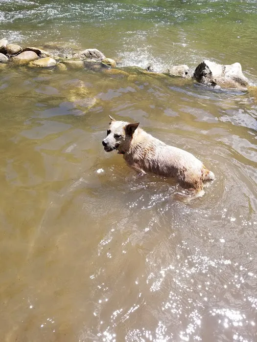 Magpie Campground Picture 2