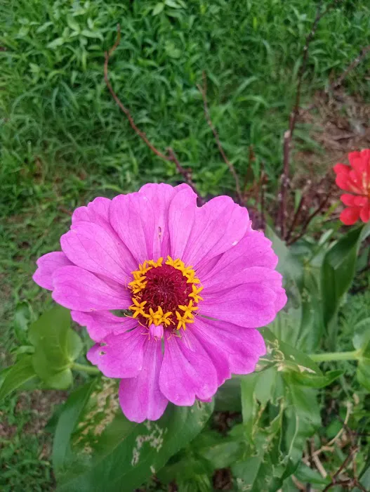 Green Acres Picture 5