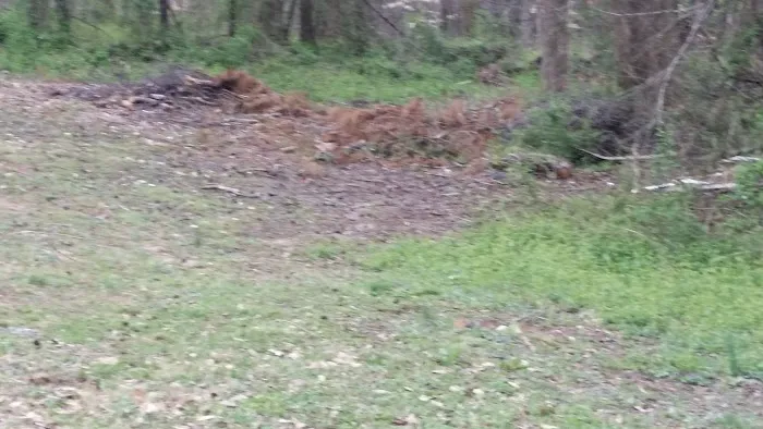 Green Acres Picture 2