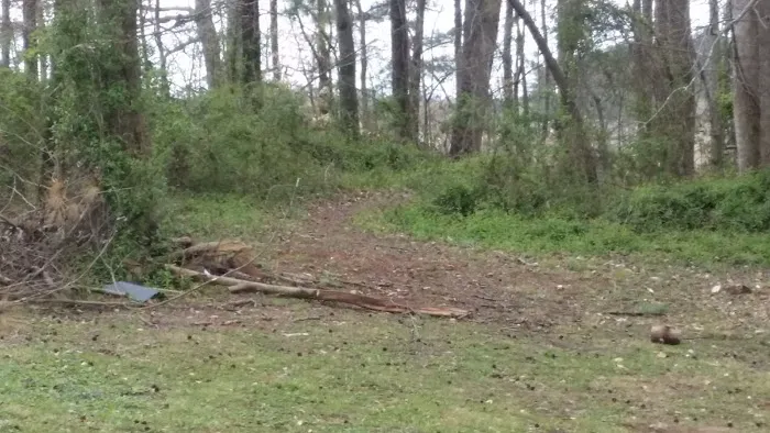 Green Acres Picture 6