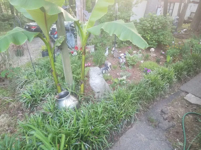 Green Acres Picture 8