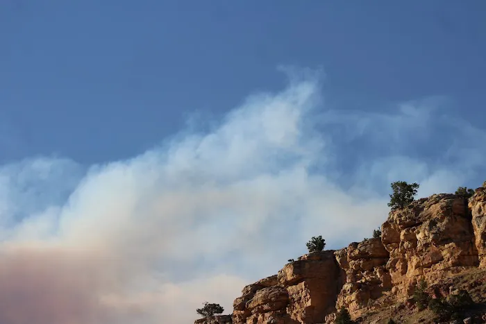 Barrys Landing Campground Picture 1