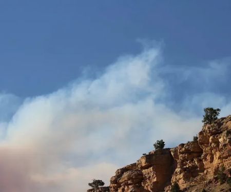 Barrys Landing Campground