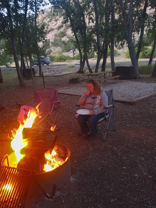 Barrys Landing Campground Picture 5