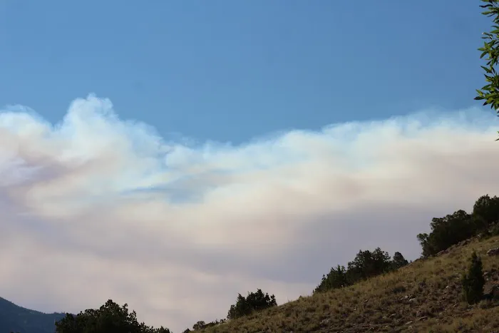 Barrys Landing Campground Picture 7