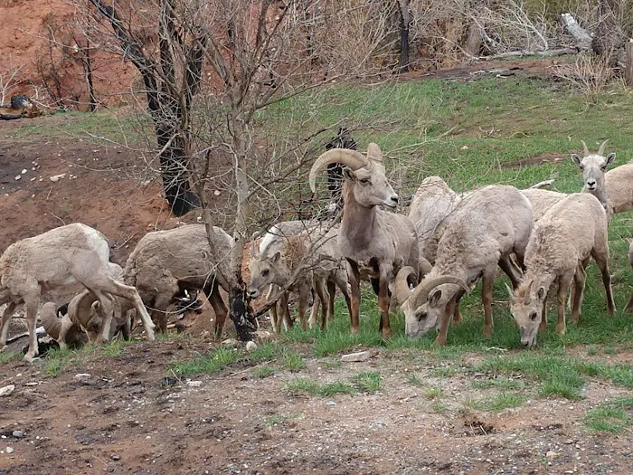 Barrys Landing Campground Picture 6