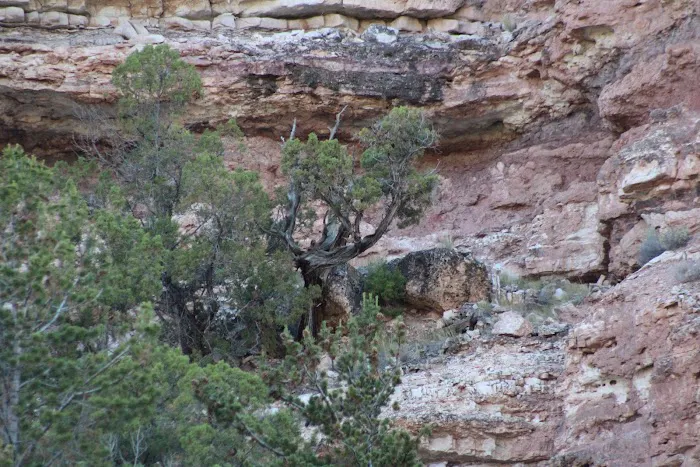 Barrys Landing Campground Picture 3