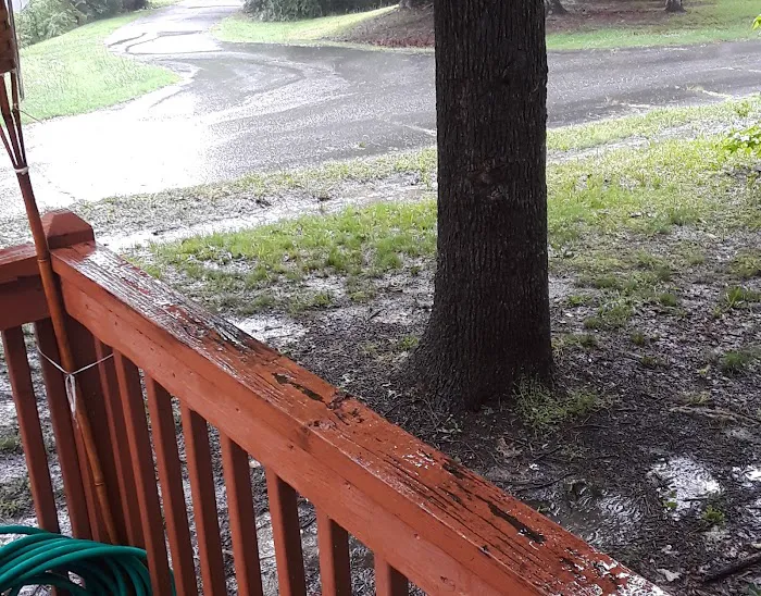 Hidden Springs Mobile Home Pk Picture 1