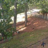 Red Top Mountain Estates ico