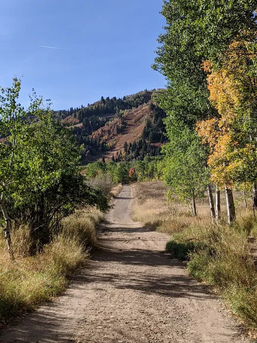 Maples Campground Picture 1