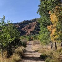 Maples Campground ico