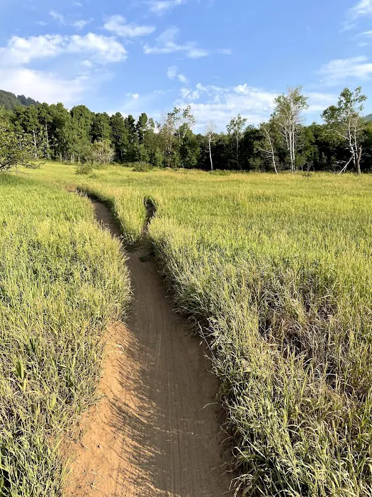 Maples Campground Picture 10