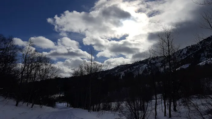 Maples Campground Picture 7