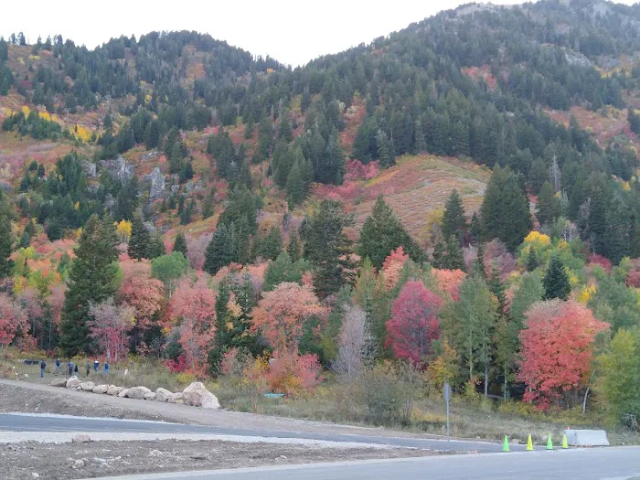 Maples Campground Picture 3