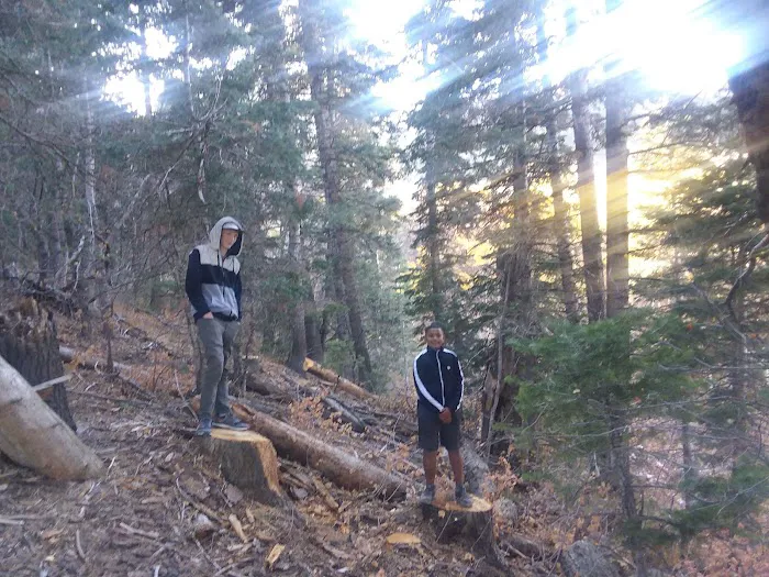 Maples Campground Picture 6