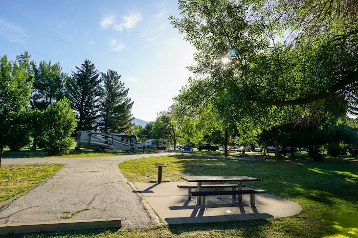 Anderson Cove Campground Picture 8