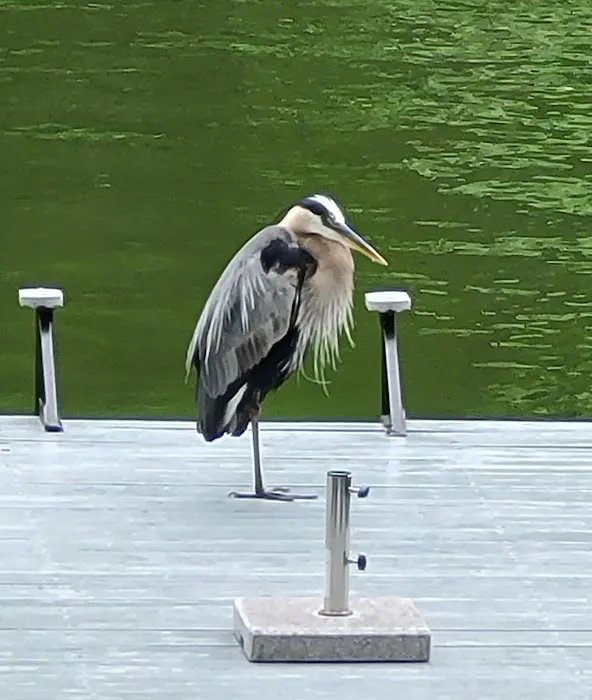 Lake Forrest County Club Picture 4