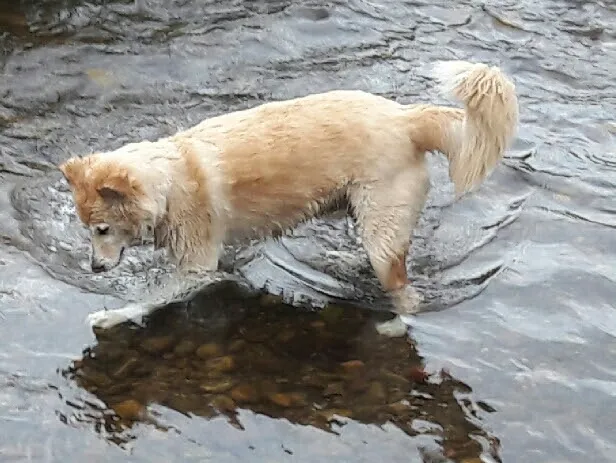 Jefferson Hunt Picture 2