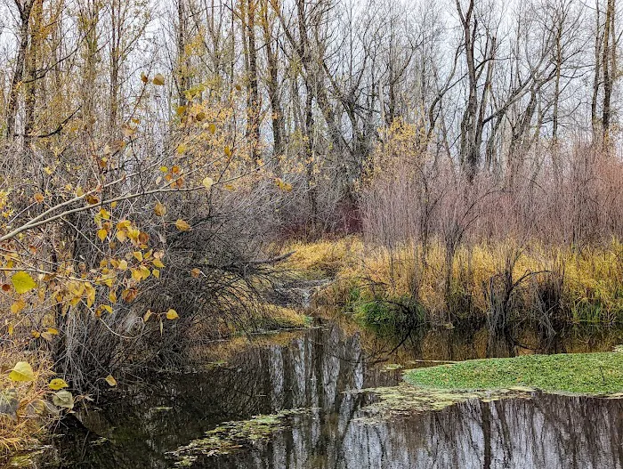 Jefferson Hunt Picture 7