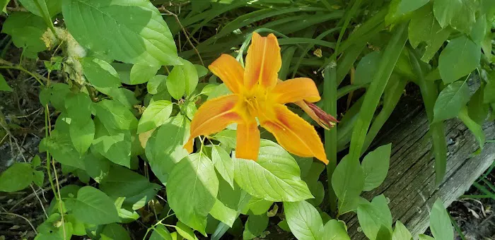 Jefferson Hunt Picture 3