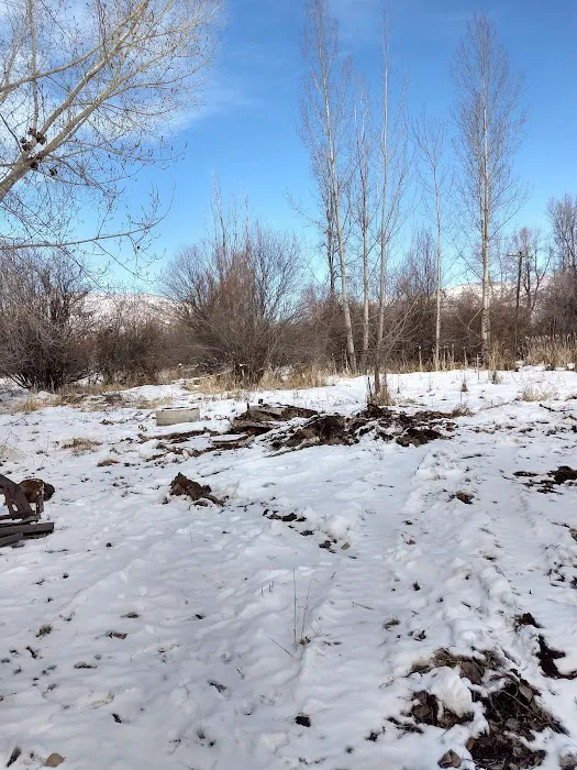 Jefferson Hunt Picture 10