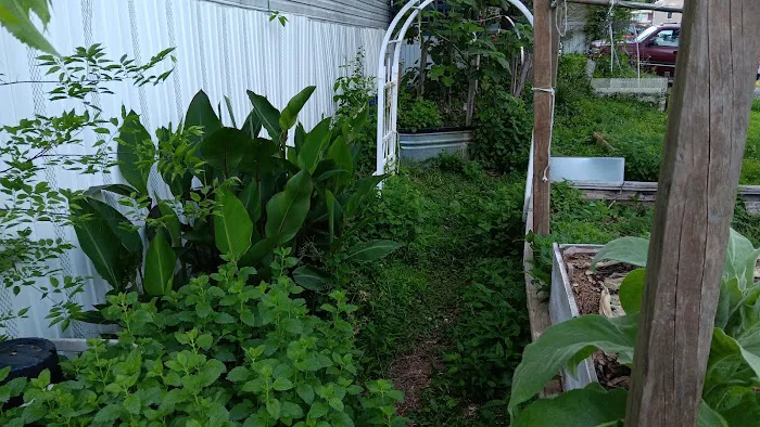 Fairway Villas Esther Santiago Picture 4