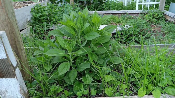 Fairway Villas Esther Santiago Picture 10