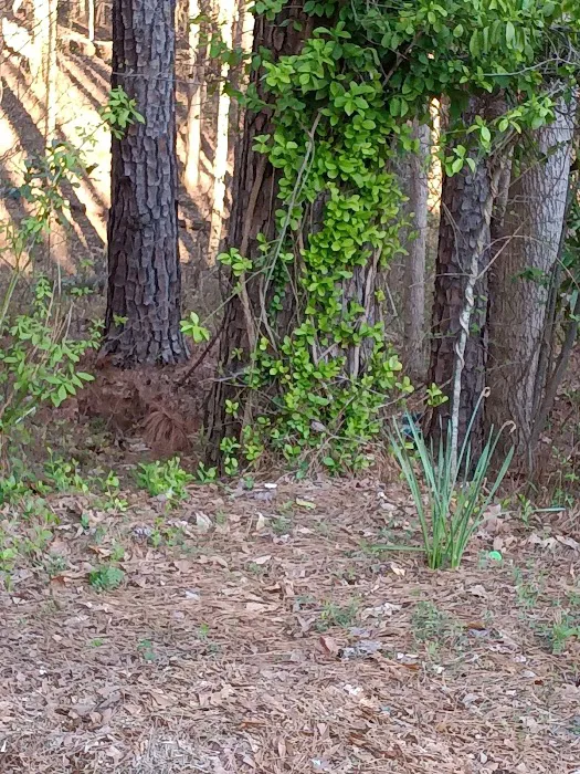 Fairway Villas Esther Santiago Picture 5