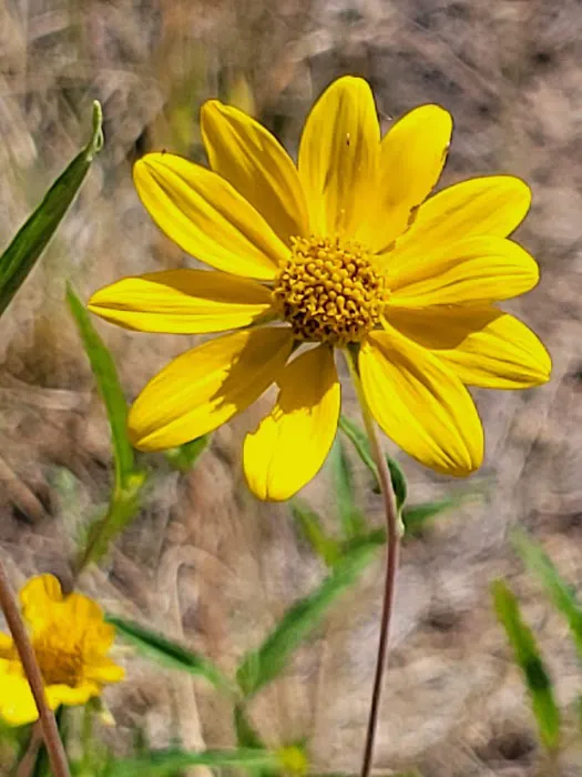 Camp Atoka Picture 3