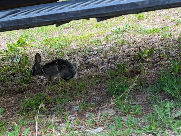 Camp Atoka Picture 5