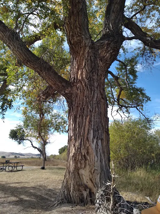 Bratten Fishing Access Site (FAS) Picture 4