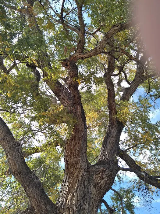 Bratten Fishing Access Site (FAS) Picture 7