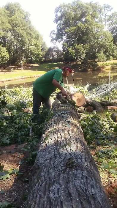 Salem Springs Mobile Home Park Picture 5