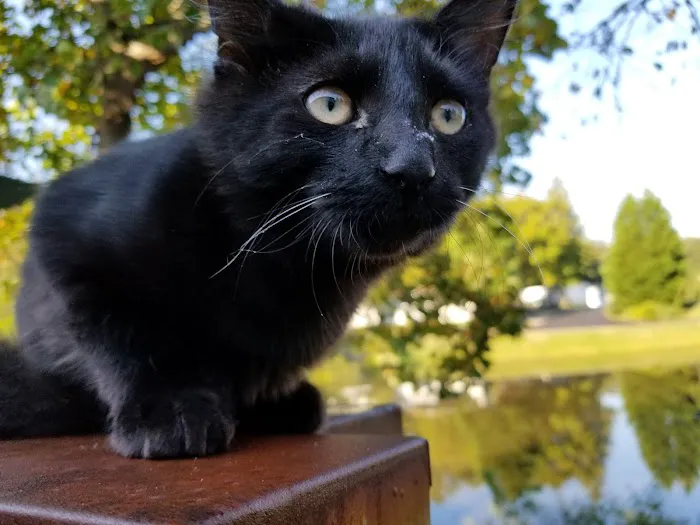 Lakeside Mobile Home Community Picture 3