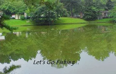 Lakeside Mobile Home Community Picture 7