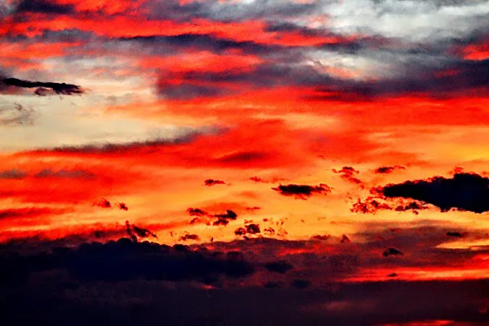 Horseshoe Bend Campground Loop A Picture 8