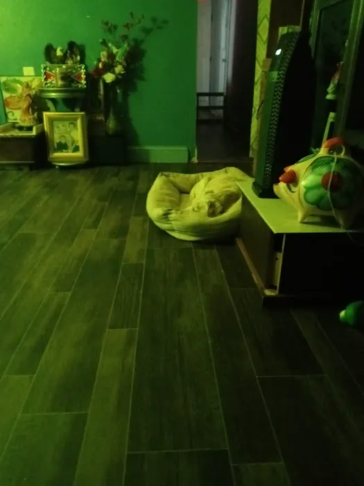 Country Estates Mobile Home Community, Rex, GA Picture 8