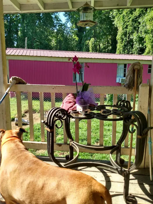 Forest Valley Mobile Home Park Picture 2